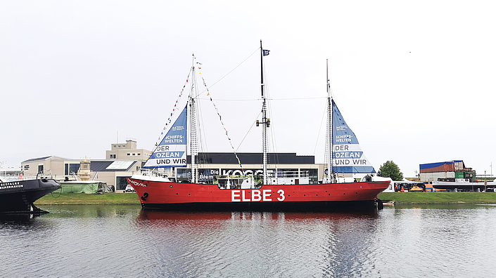 Seefalke im Museumshafen
