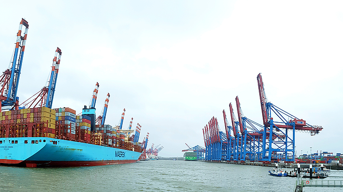 Hamburger Hafen, Blick auf die Container-Terminals.