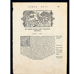 Historisches Buch.